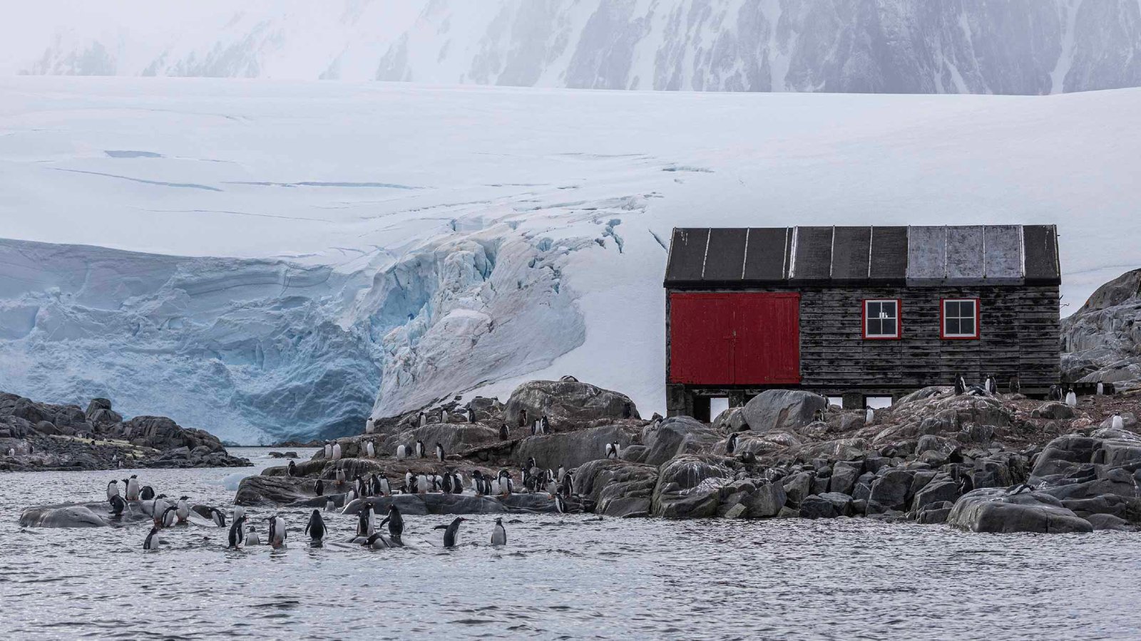 port lockroy post office in antarctica